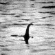 £1 million for a twenty foot Loch Ness monster?